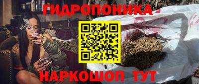 крисы Тверь