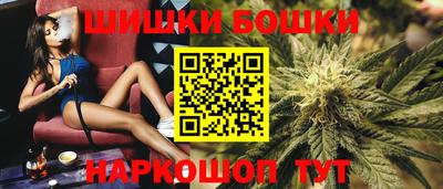 крисы Тверь