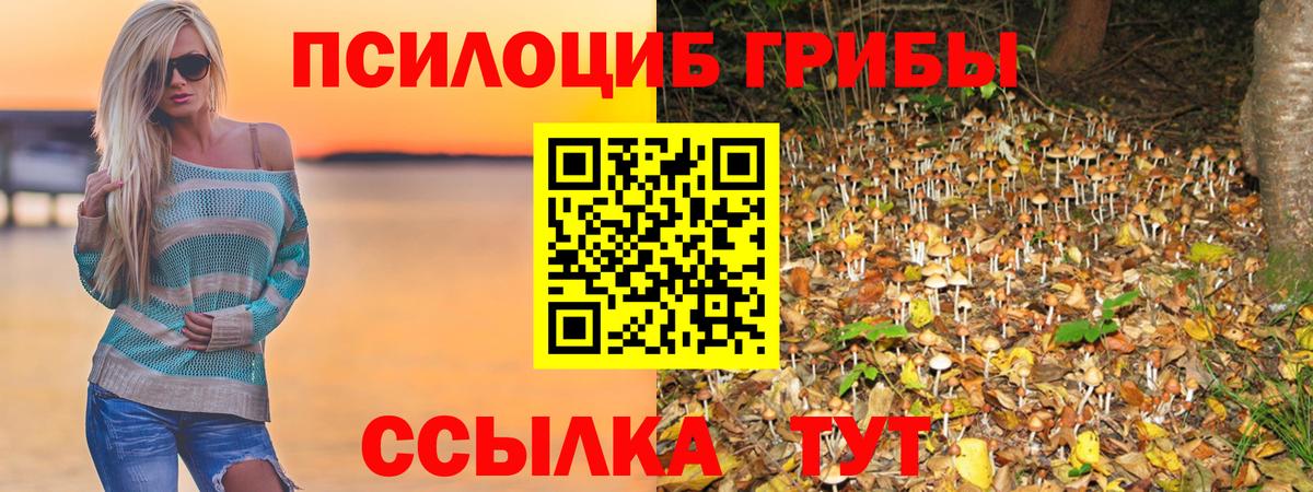 Галлюциногенные грибы мухоморы  Псилоцибиновые грибы Psilocybine cubensis  Ступино  Вход с VPN 