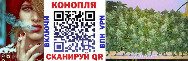 МАРИХУАНА планчик Ступино